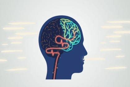 Stem Cell Therapy for Stroke Recovery